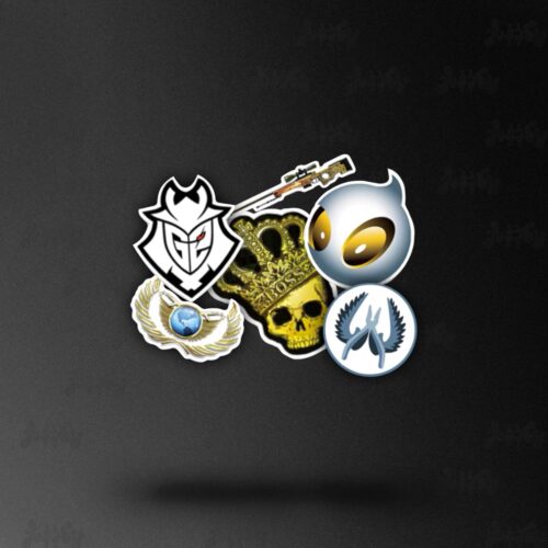 Counter Strike სტიკერები